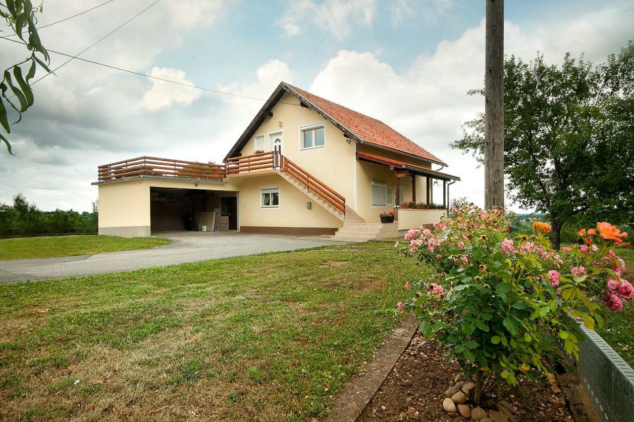 Apartment Josipa Selište Drežničko Exterior foto